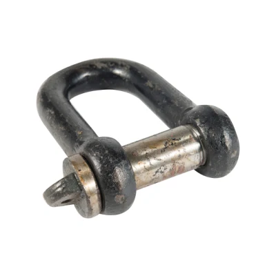 Metal Lifting Bolts Anchor Shackle of Manufacturing Price